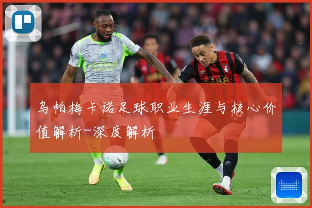 乌帕梅卡诺足球职业生涯与核心价值解析-深度解析
