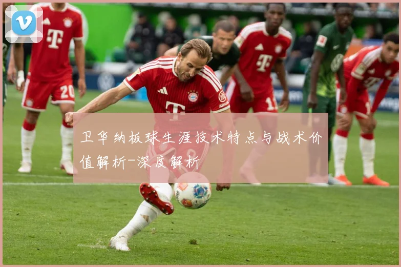 卫华纳板球生涯技术特点与战术价值解析-深度解析